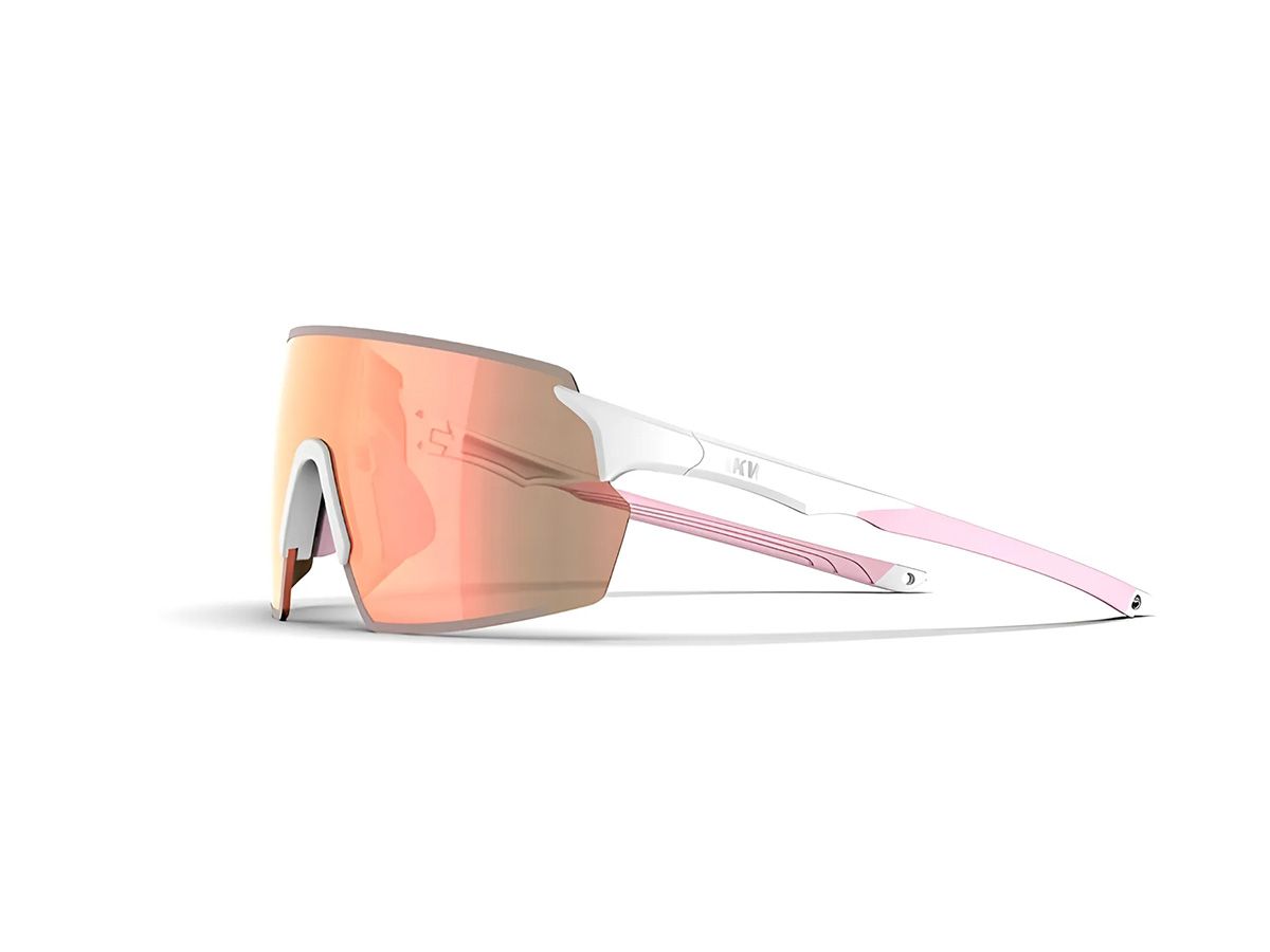 Akiwei Xmen－變色玫瑰