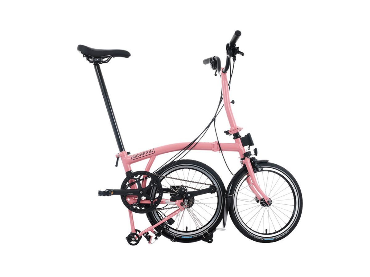 Brompton C Line - 2025 火鶴粉 - M把12速