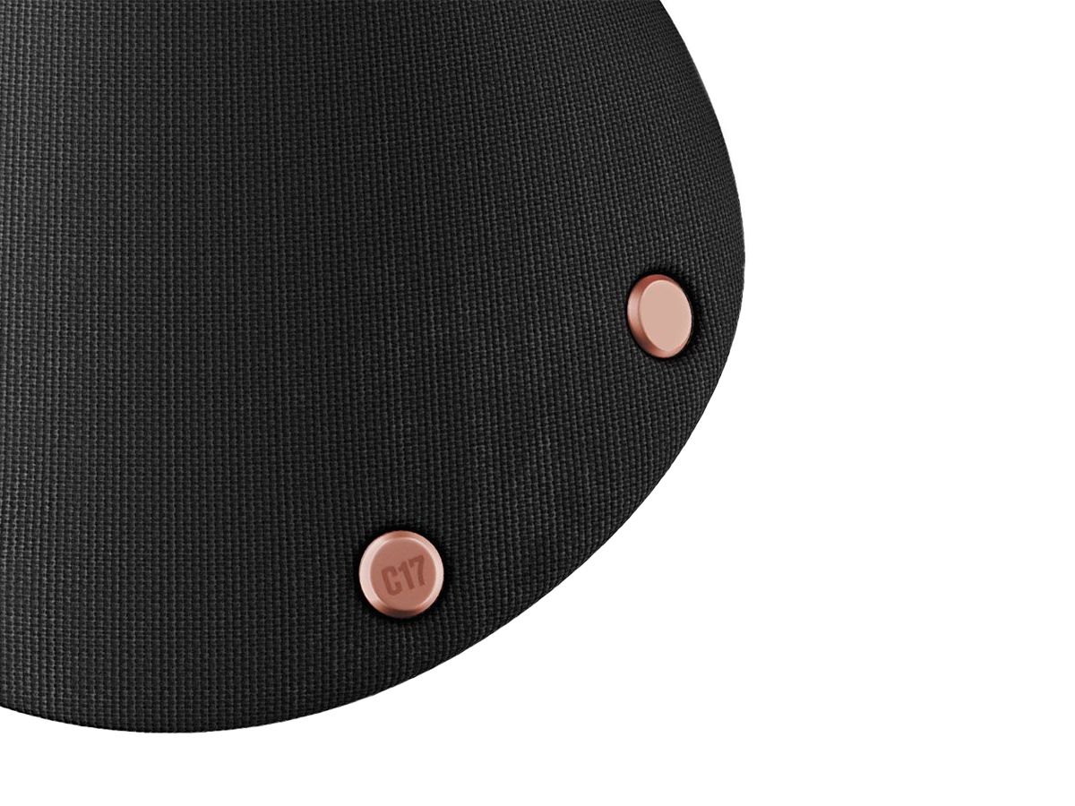 Brooks C17 Special 座墊 黃銅