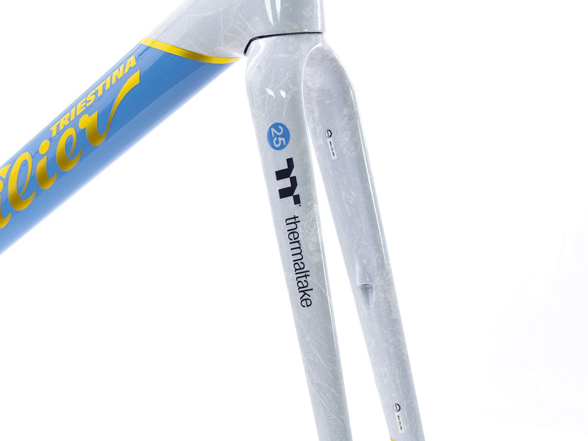 Wilier Triestina FILANTE SLR 空力車車架組  繡球花藍 L