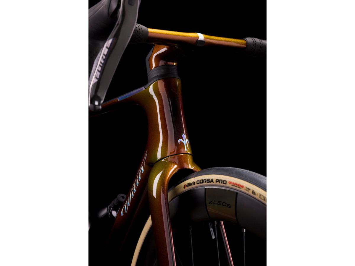 Wilier Triestina  Filante SLR ID2 全能空力車 車架組 / 日曜銅 M