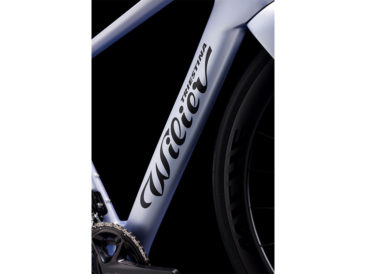 Wilier Triestina Rapida 全能空力車 整車 / 幕影灰 XS
